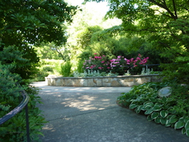 Nature Walk at Bailey Arboretum