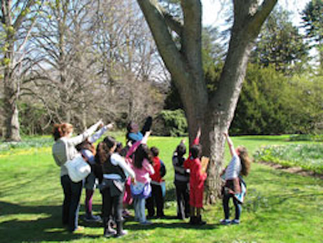 Outdoor Activities at Westbury Gardens