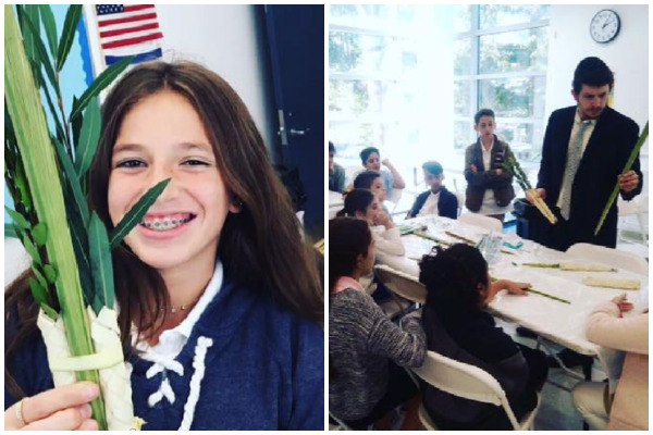 Silverstein Hebrew Academy students prepared the lulav, a traditional aspect of the Jewish autumn festival Sukkot, for North Shore Long Island Jewish Hospital patients. (Photo courtesy of Zimmerman/Edelson)