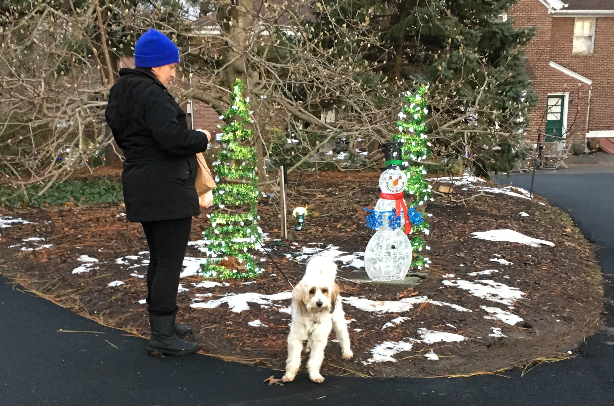 A resident and her dog strolling through Clark Botanic Garden at last year's Winter Wonderland event. (Photo courtesy of the Town of North Hempstead)