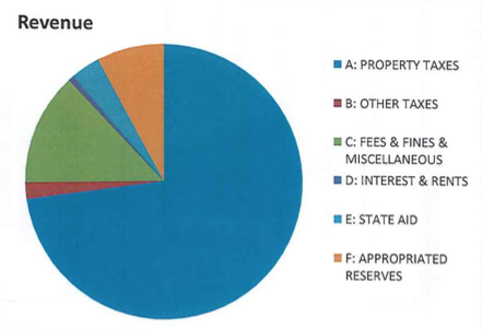 Nearly three quarters of the Village of Great Neck's budget comes from property taxes. (Chart from the Village of Great Neck)