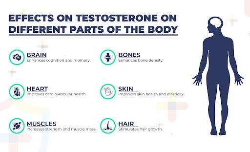 do testosterone boosters work - theislandnow