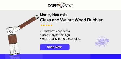 Marley Glass And Walnut Wood Bubbler - theislandnow