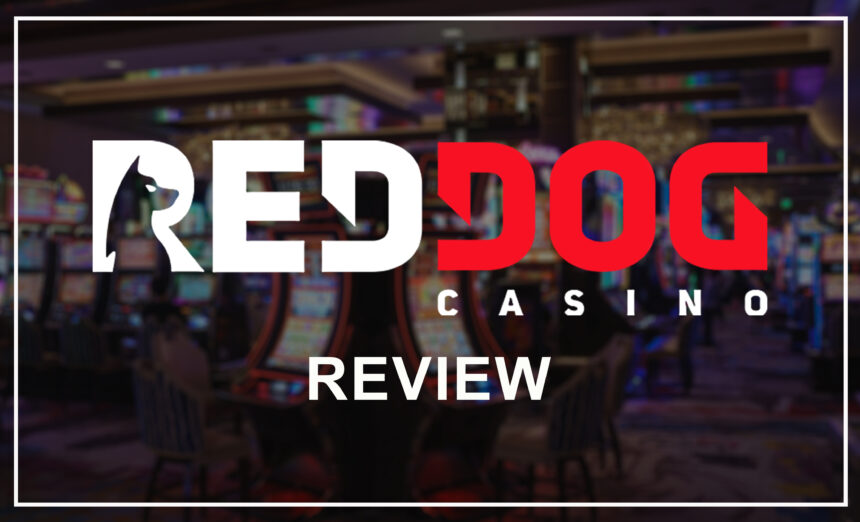 Red Dog Casino Review-theislandnow