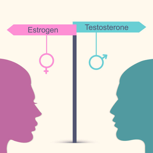 testosterone vs estrogen - theislandnow