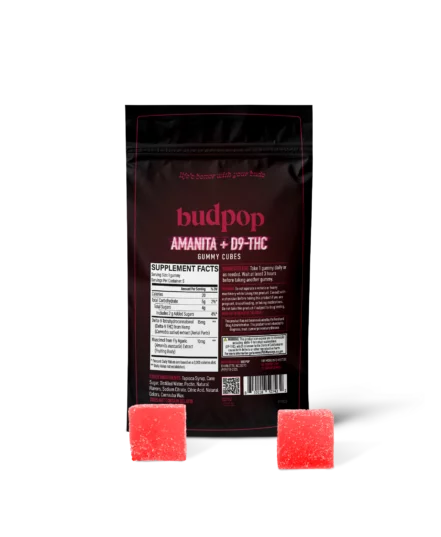BudPop - theislandnow
