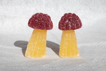 Best Mushroom Gummies